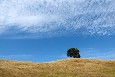 Shakespear Regional Park