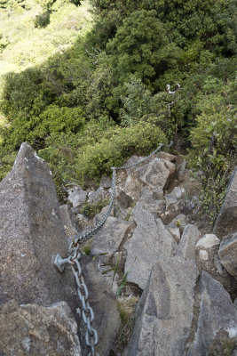 Chains on the Kaitarahiki Peak track