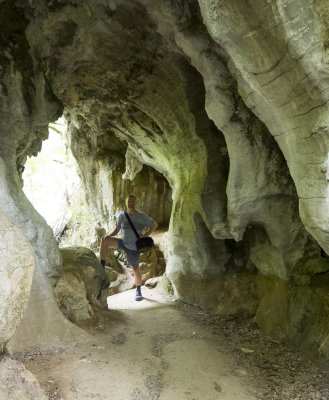 Waitomo Caves area walk 