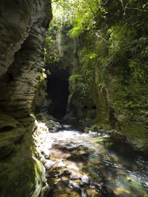 Waitomo Caves area walk 