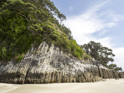 Mangawhai Cliff walk