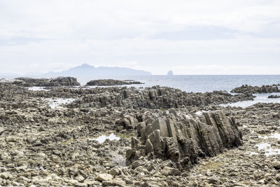 Mangawhai Cliff walk