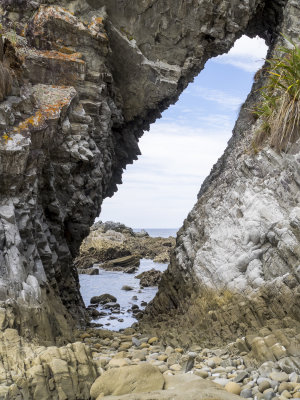 Mangawhai Cliff walk