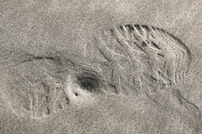 sand features