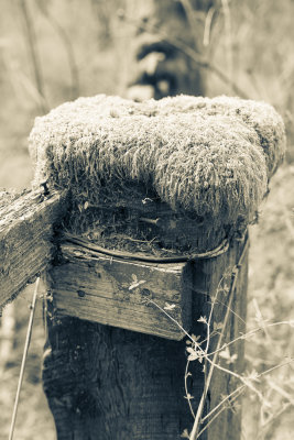 Fence post