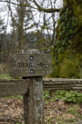 Trail->
