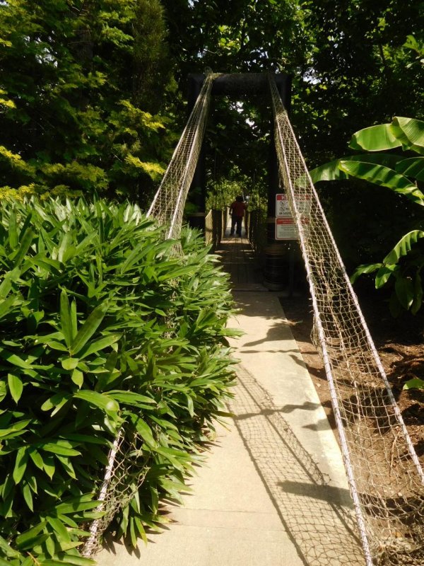 DSCN3953.JPG