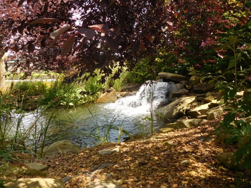 DSCN3954.JPG
