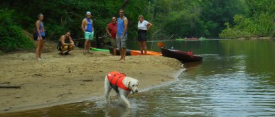 dan_river_July_4th_2019_028.JPG