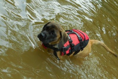 dan_river_July_4th_2019_030.JPG