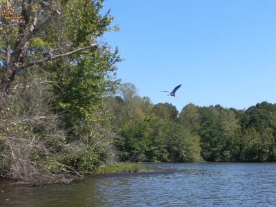 Kodak_1st_trip_Lake_Thoma_Lex_018.JPG