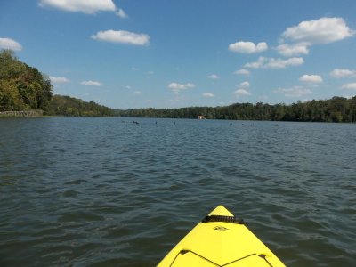 Kodak_1st_trip_Lake_Thoma_Lex_034.JPG