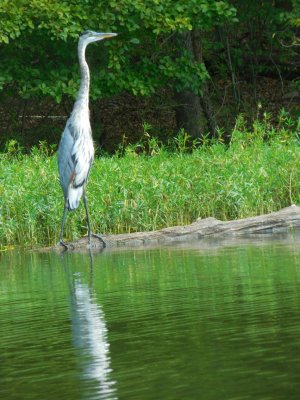 salem_lake_Late_Sept_2019_077.JPG