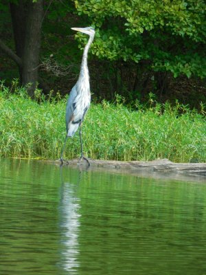 salem_lake_Late_Sept_2019_078.JPG