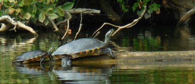 salem_lake_Late_Sept_2019_082.JPG