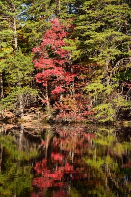 Hanging_Rock_Nov_2019_019.JPG