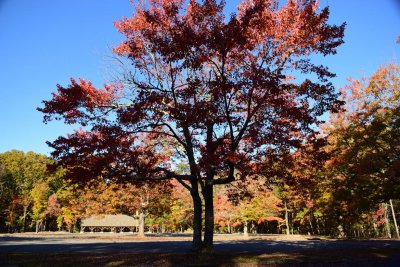 Hanging_Rock_Nov_2019_030.JPG