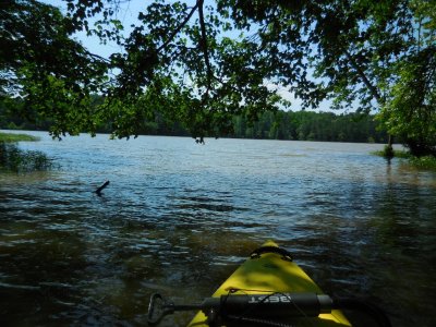DSCN6048.JPG