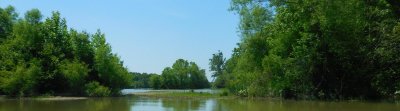 DSCN6063.JPG