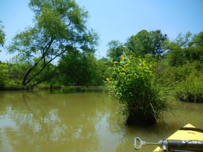 DSCN6069.JPG