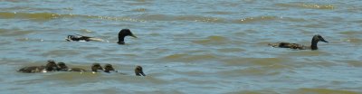 DSCN6085.JPG