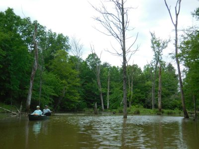 randleman lake (6).JPG