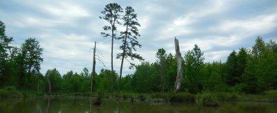 randleman lake (8).JPG