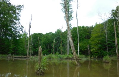 randleman lake (11).JPG