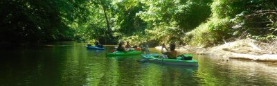Dan River 1 (9).JPG
