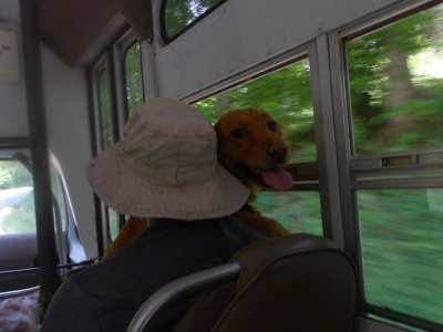 100_0010.JPG