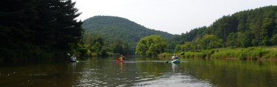 New River Yellow Camera (13).JPG
