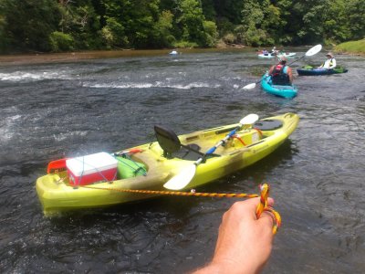 New River Yellow Camera (22).JPG