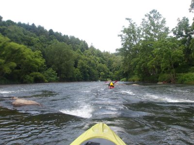 New River Yellow Camera (23).JPG