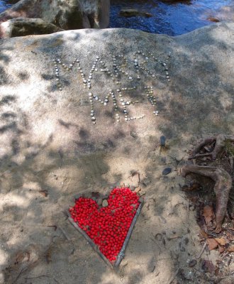 100_0008.JPG