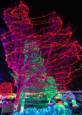 Caldwell Lights-7103.jpg
