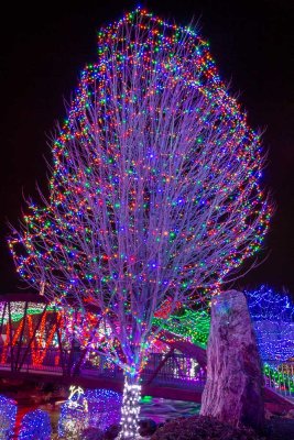 Caldwell Lights-7121.jpg