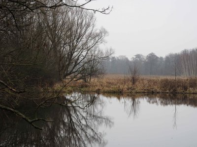 Nad Utratą - Utrata River 1