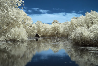 Connetquot Pond in Infrared