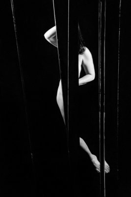 Reconstructed