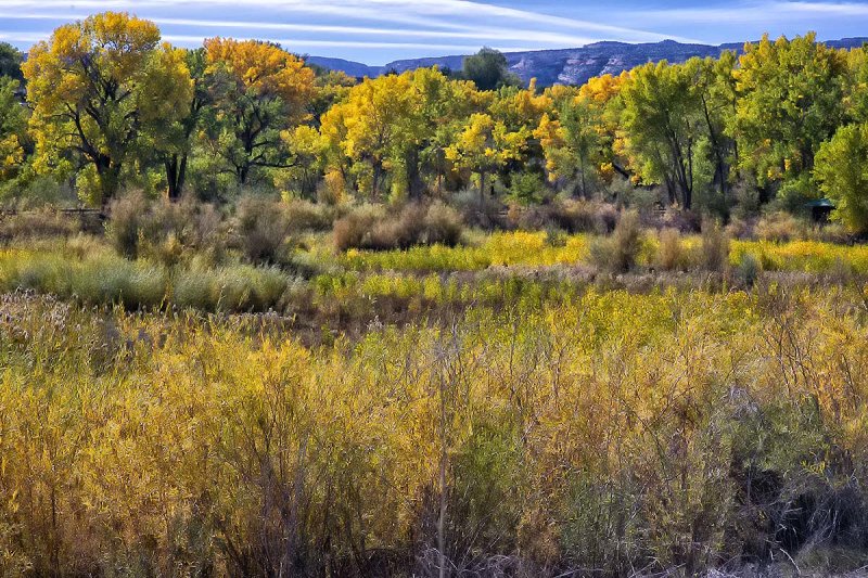 Audubon property.jpg