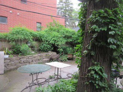 IMG_8462.JPG