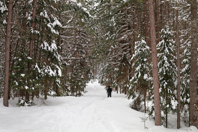 Winter hike