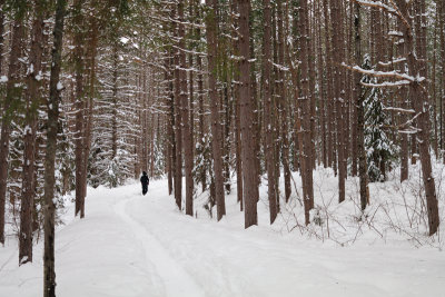 Winter hike