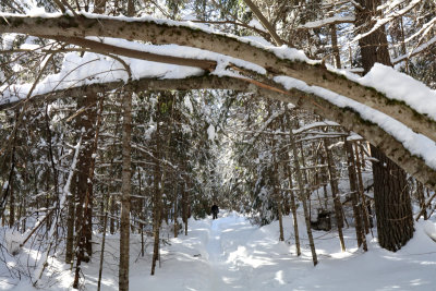 Winter hike