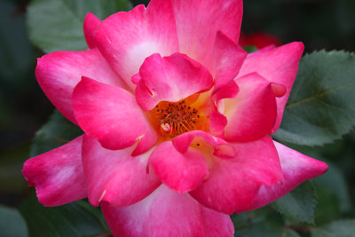 g12/76/996276/3/171375679.08xmp8fC.jpg
