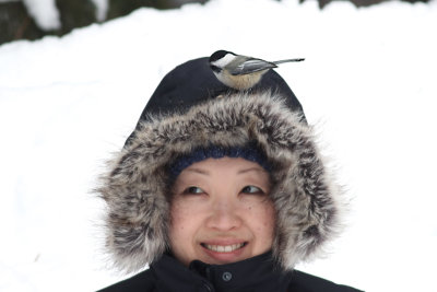 M + chickadee