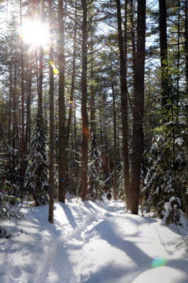 Winter hike
