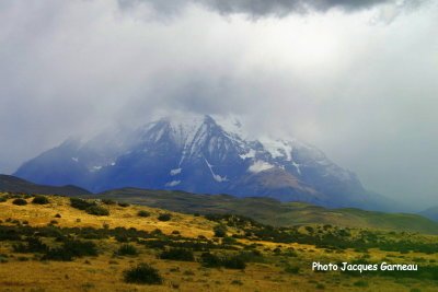 Parc national Torres del Paine, Chili - IMGP9530.JPG