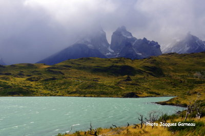 Lac Pehoe, Parc national Torres del Paine, Chili - IMGP9641.JPG