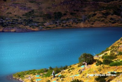 Parc national Torres del Paine, Chili - IMGP9659.JPG